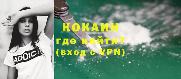 дживик Чегем