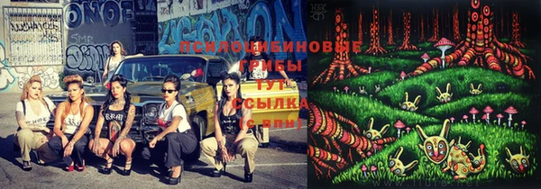 круглые Чекалин