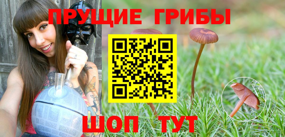 Псилоцибиновые грибы Psilocybe  Вход с VPN  наркота  Невинномысск 